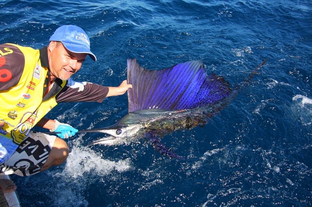 Glenns Rowleys Sailfish